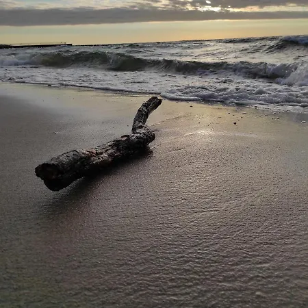 Promenada Park 코워브제크