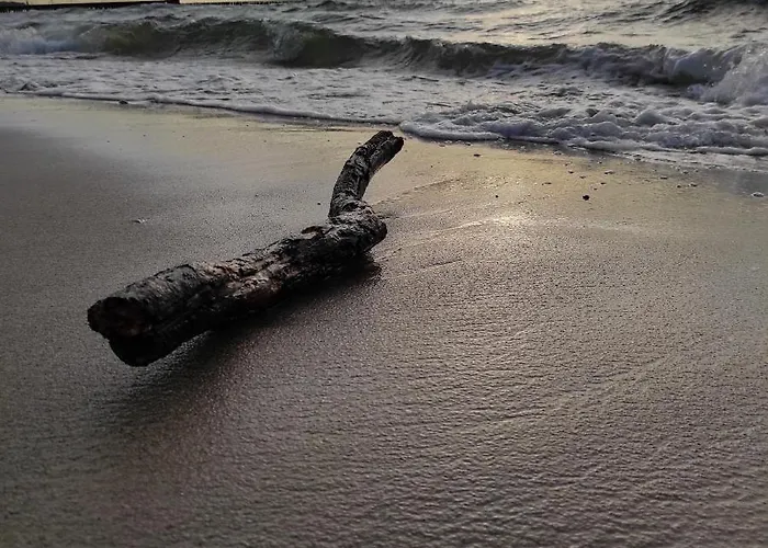 Promenada Park Kolobrzeg